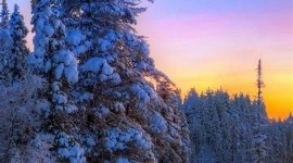Winter Sunset Wallpaper For Android