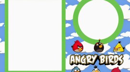 Angry Birds Frame Image