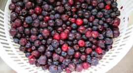 Berries In Sugar Wallpaper Free