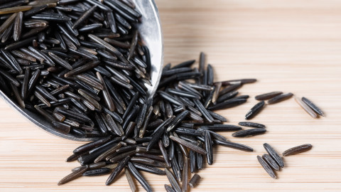 Black Rice wallpapers high quality