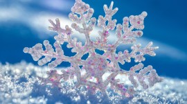 Colorful Snowflakes Photo Download