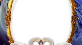 Frame Swans Wallpaper For Android