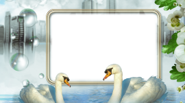 Frame Swans Wallpaper For PC