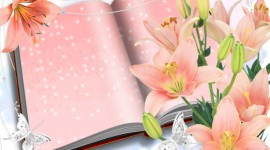 Lily Frames Photo Download