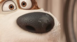 The Secret Life Of Pets 2 For Android