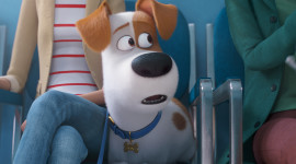 The Secret Life Of Pets 2 For PC#2