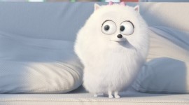 The Secret Life Of Pets 2 For PC#3