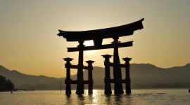 Torii Picture Download