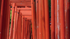 Torii Wallpaper For IPhone