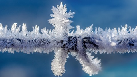 Wire Ice Winter wallpapers high quality