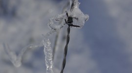 Wire Ice Winter Wallpaper For IPhone