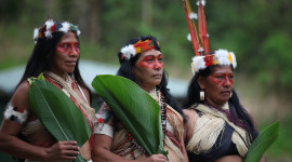 Amazonian Tribes Wallpaper Gallery