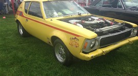 Amc Gremlin Aircraft Picture