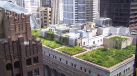 City Rooftop Wallpaper HD