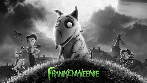 Frankenweenie wallpapers high quality