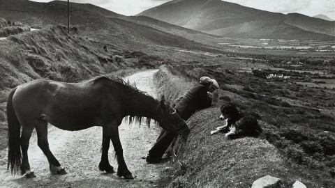 Henri Cartier-Bresson Photos wallpapers high quality