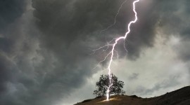 Lightning Strikes A Tree Wallpaper Free