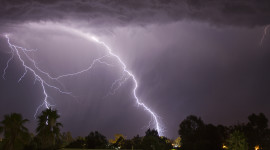 Lightning Strikes A Tree Wallpaper Full HD