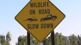 Road Signs Wallpaper Download Free