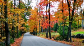 Autumn Road Desktop Wallpaper HD
