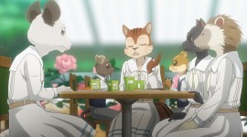Beastars Picture Download