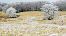 Field First Snow Picture Download