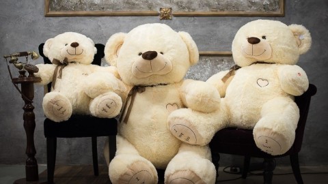 Huge Bear Toy wallpapers high quality