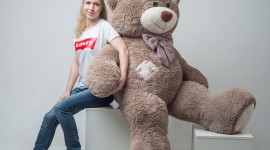 Huge Bear Toy Image