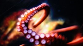Tentacle Wallpaper Background