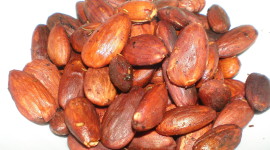 Paprika Nuts Wallpaper Download Free