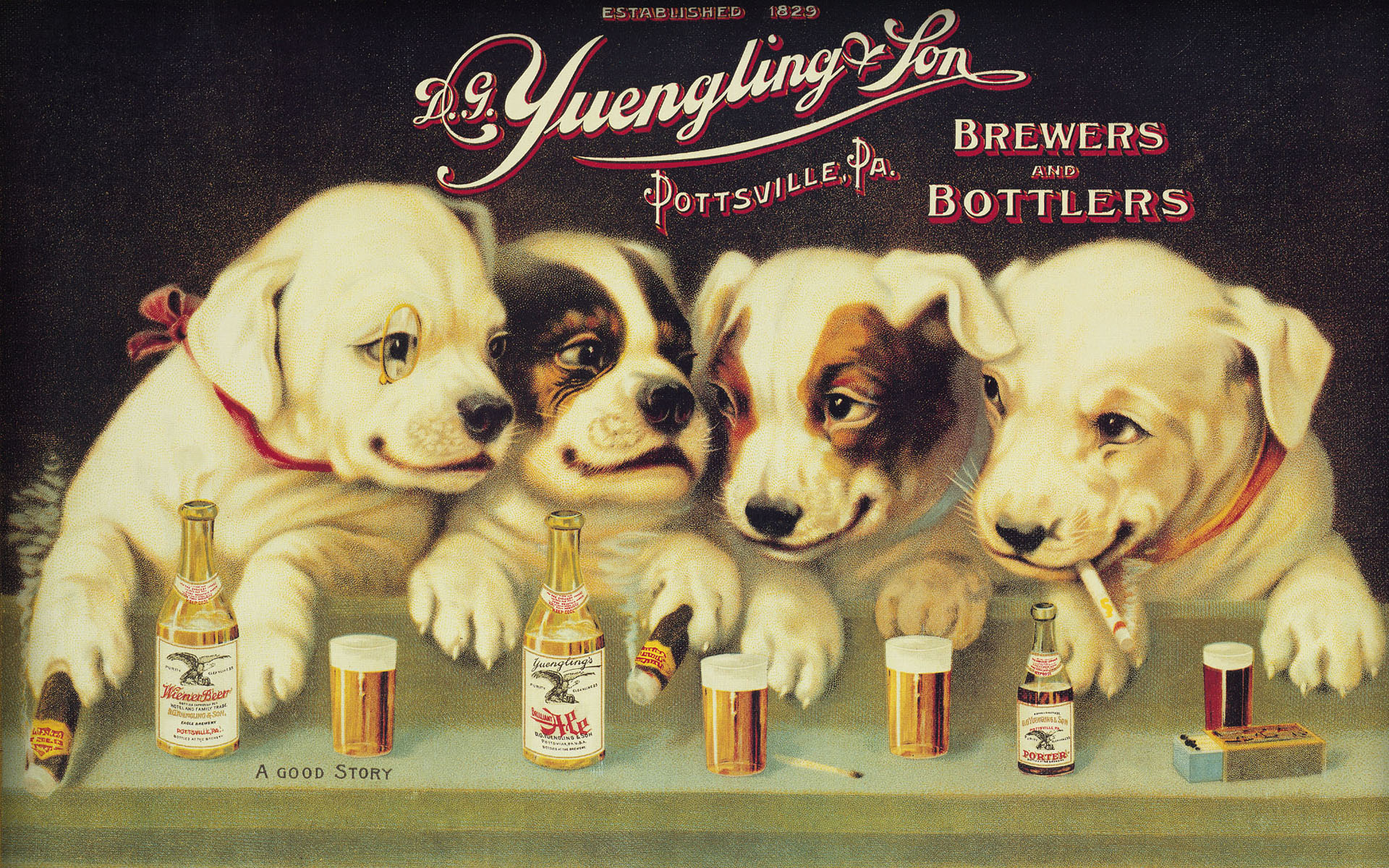 Постер собаки. Постеры с собаками. Советские плакаты с собаками. Плакат щенки. Собаки на советских постерах.