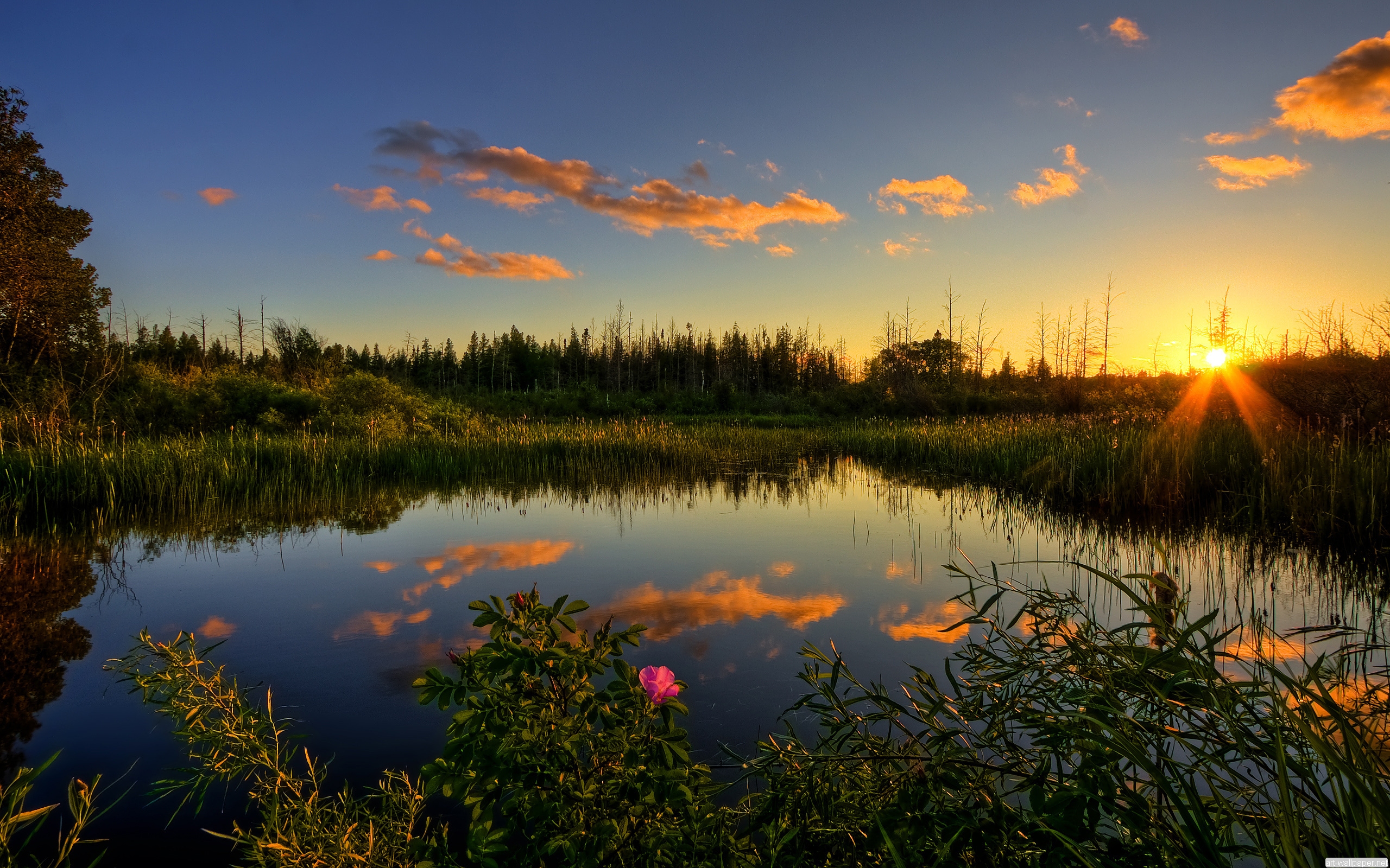 Everglades Wallpapers High Quality | Download Free