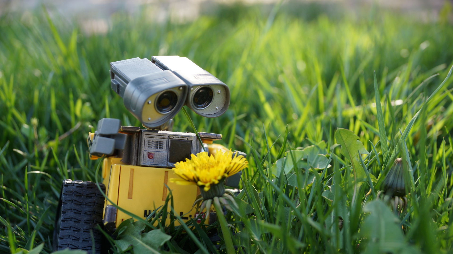 Wall-E Wallpapers High Quality | Download Free