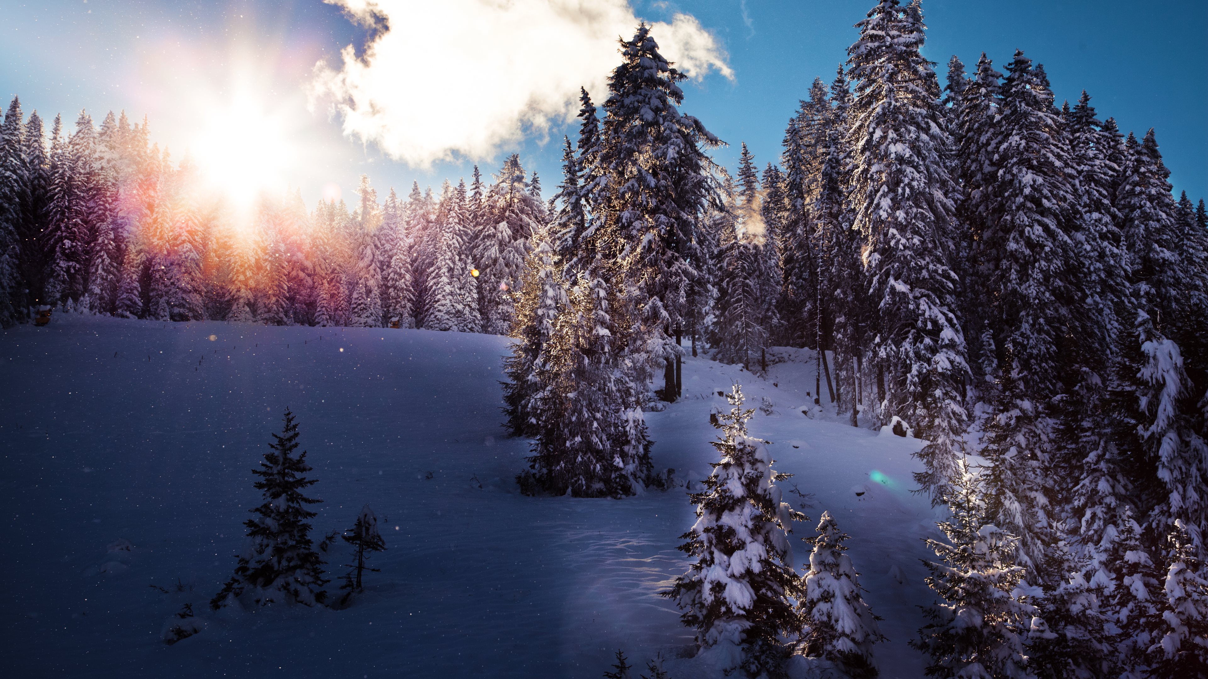 4k Winter Wallpapers High Quality | Download Free