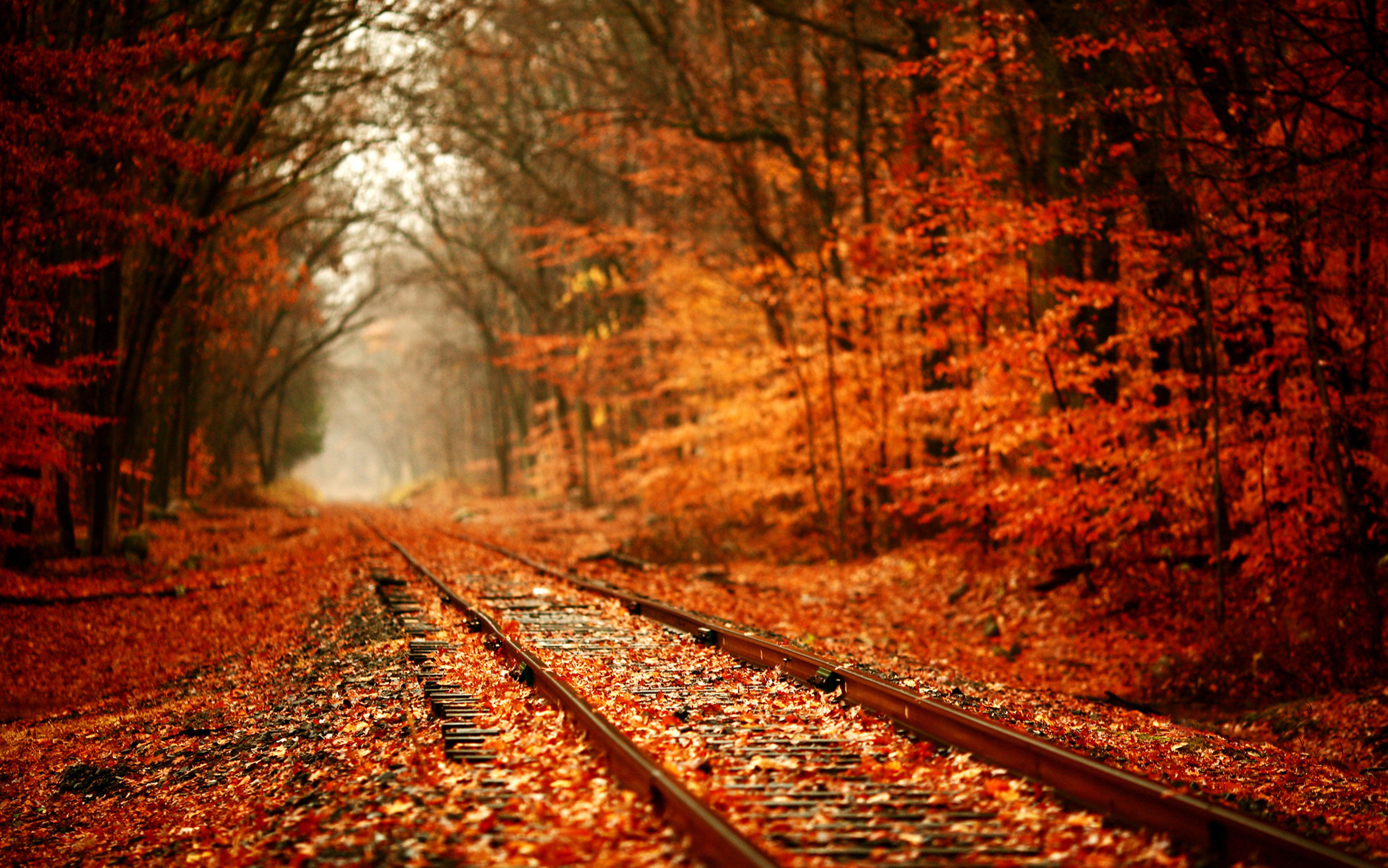 4k Railroad Wallpapers High Quality | Download Free