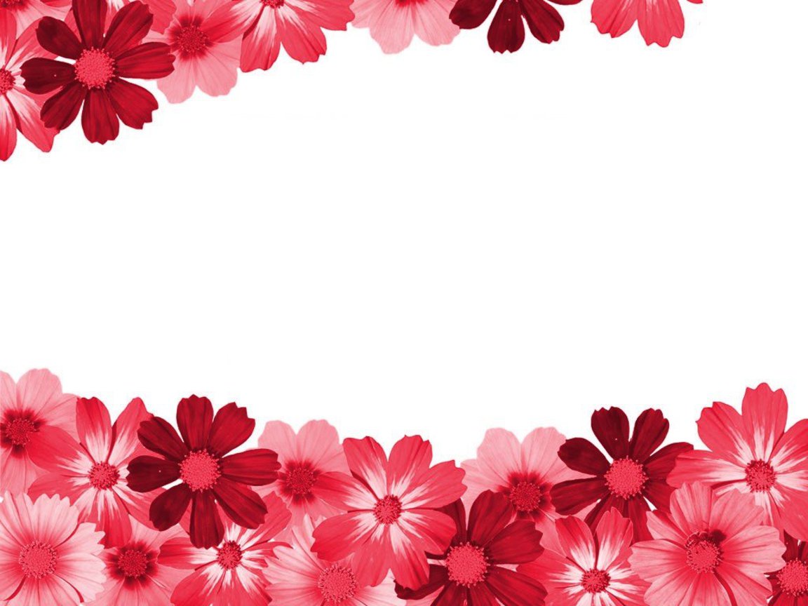 Flower Border Design Clip Art Images - Border Floral Flower Clip ...