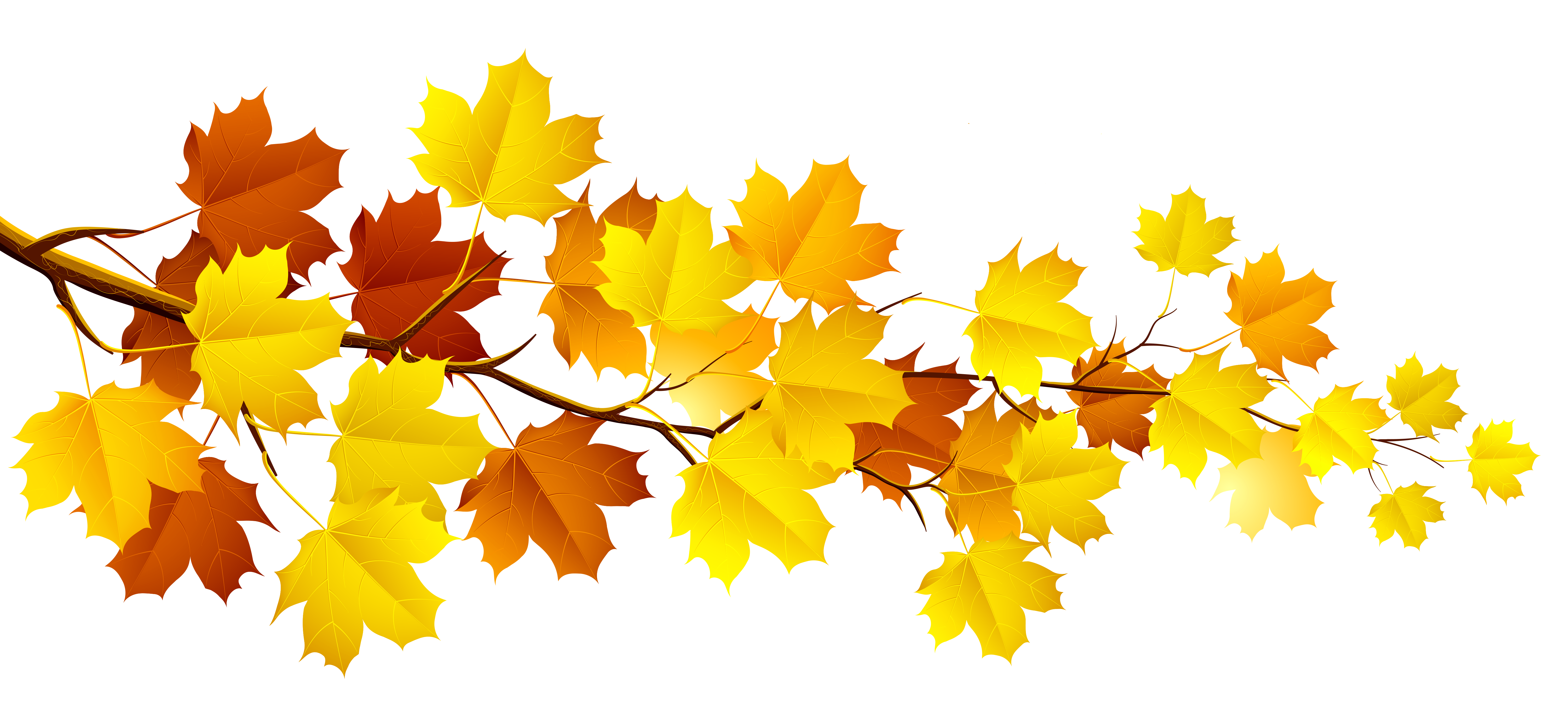 Fall Wallpapers High Quality | Download Free