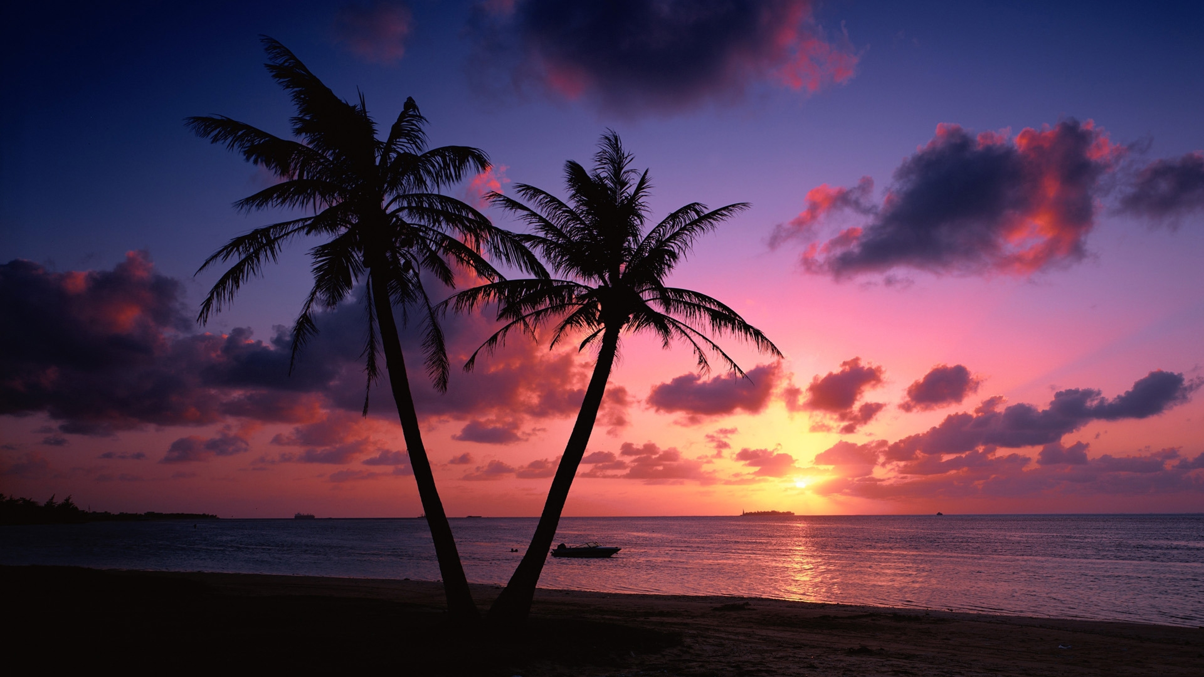 Chill k. Сансет Бич Гавайи. Пляж закат. Лето пальмы. Пейзаж с пальмами.