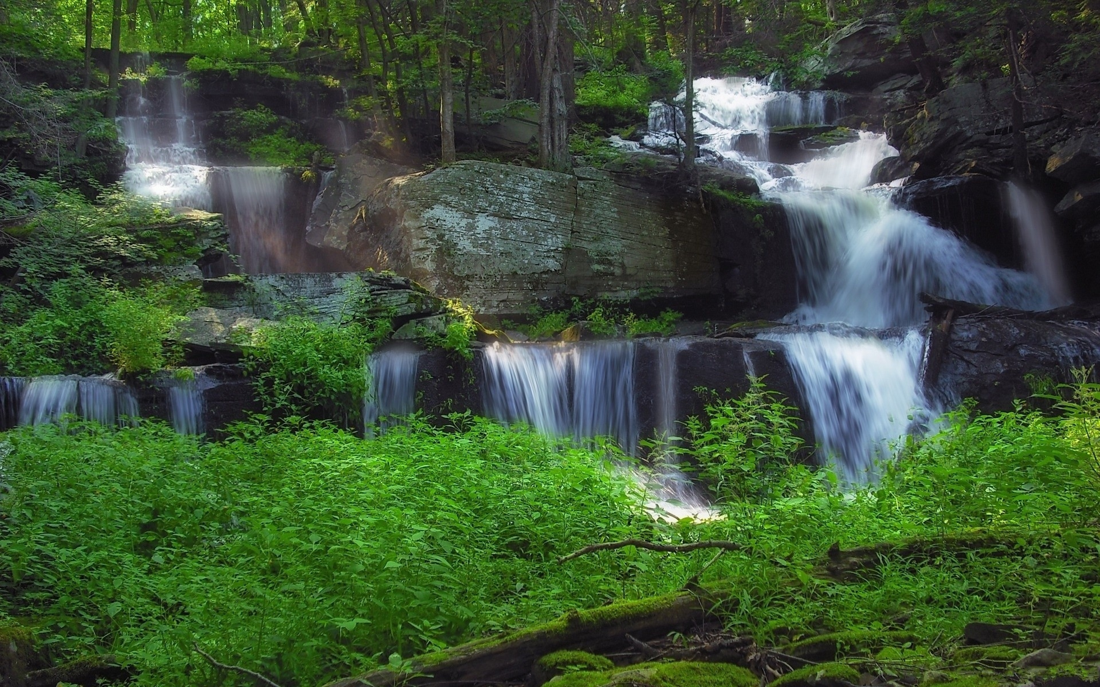 Видео про обои. Вива экран водопад. Природа водопад. Живая природа водопады. Лесной водопад.