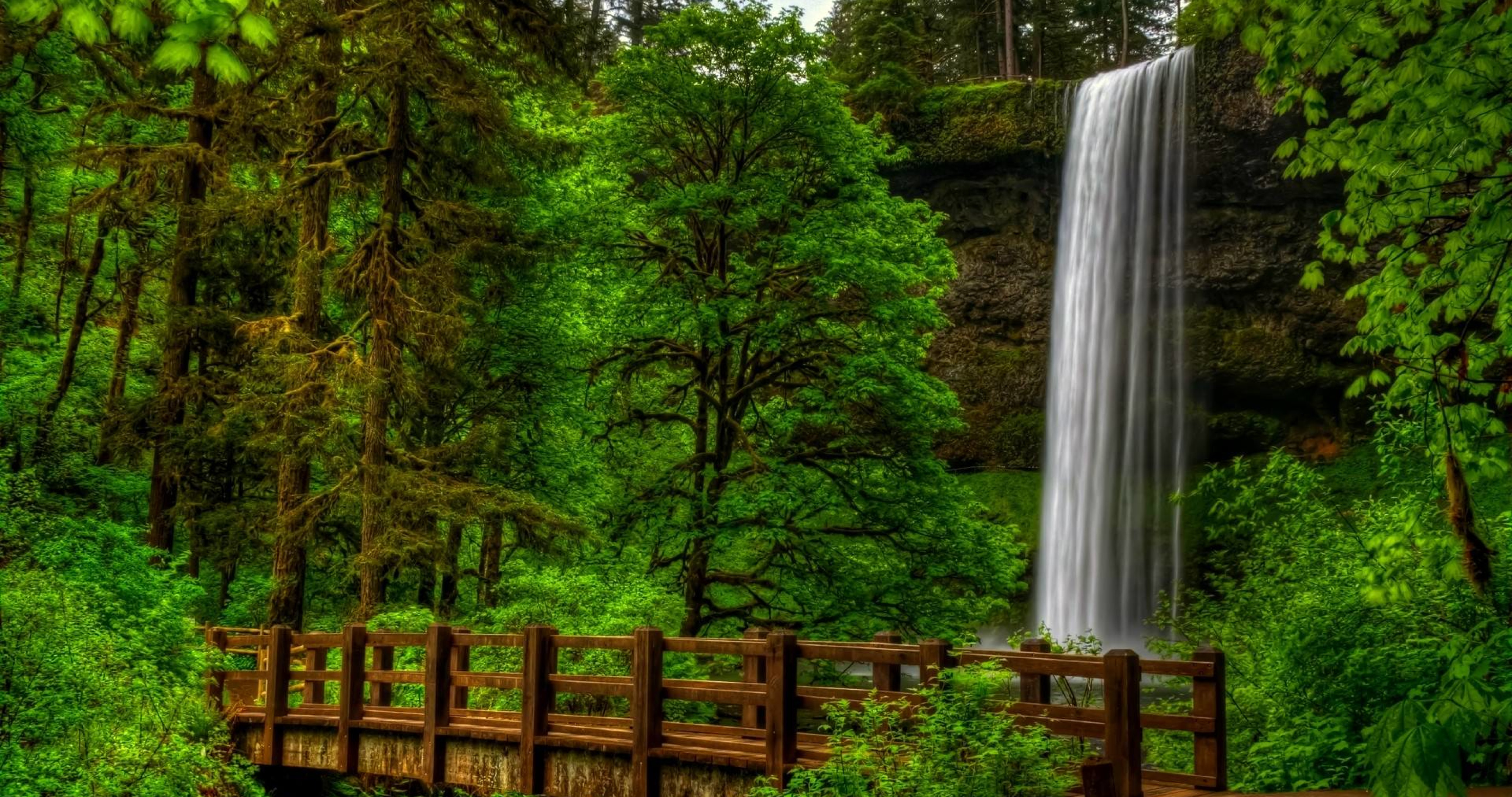 Красивые обои вертикальные на рабочий стол телефона. Природа. Водопад в лесу. Лесной водопад. Природа с деревьями и водопадами.