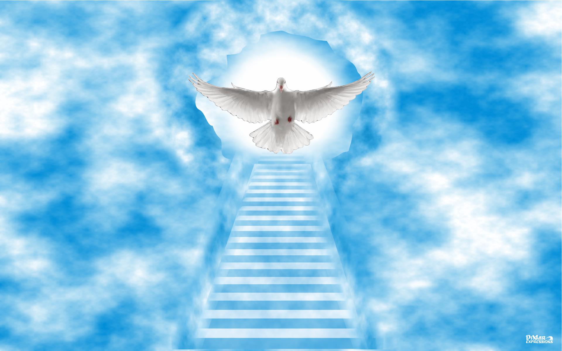 Stairway to Heaven Wallpapers High Quality | Download Free