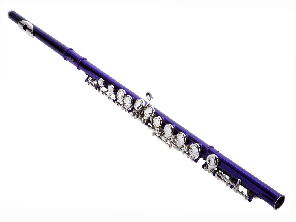 Flute sound. Флейта-Пикколо Соло. Деревянные духовые флейта Пикколо. Флейта тунсо. Флейта Пикколо Триумф.