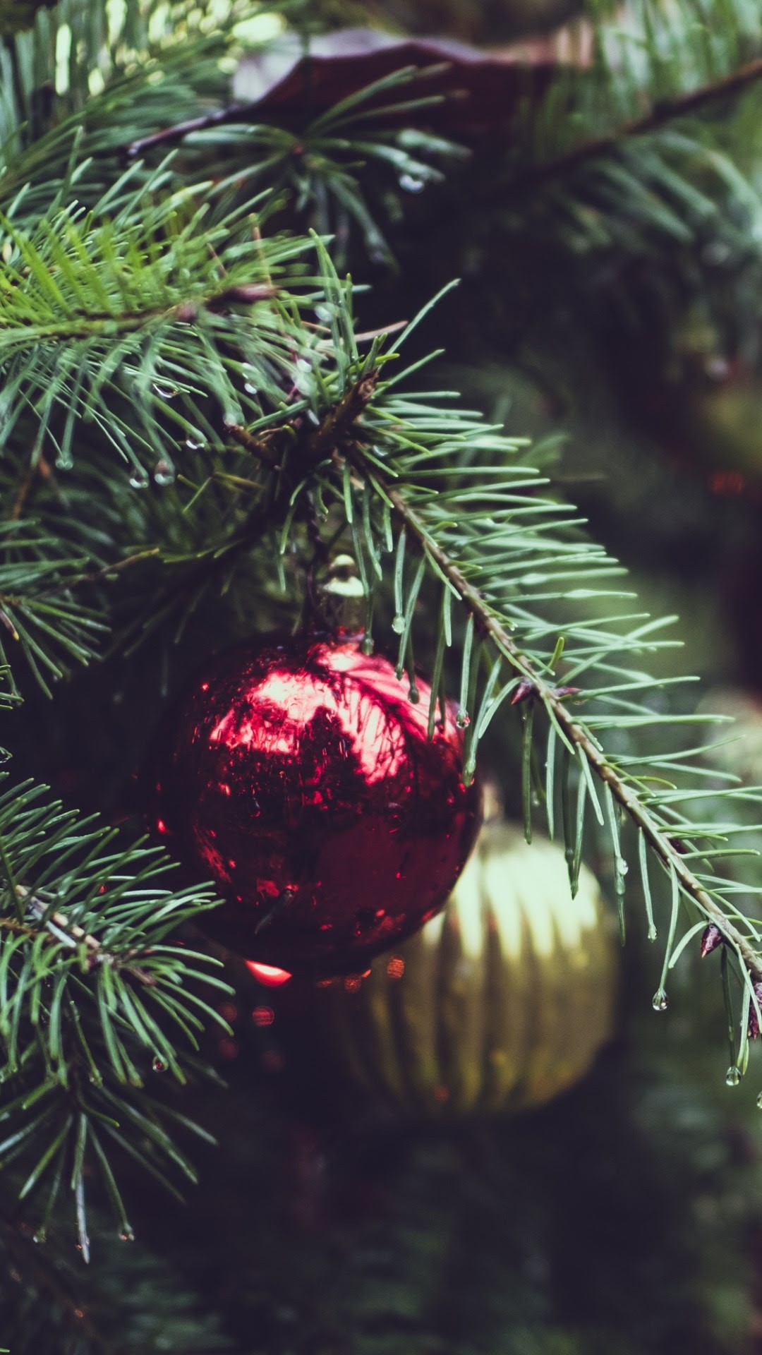 4K Christmas Tree Wallpapers High Quality | Download Free