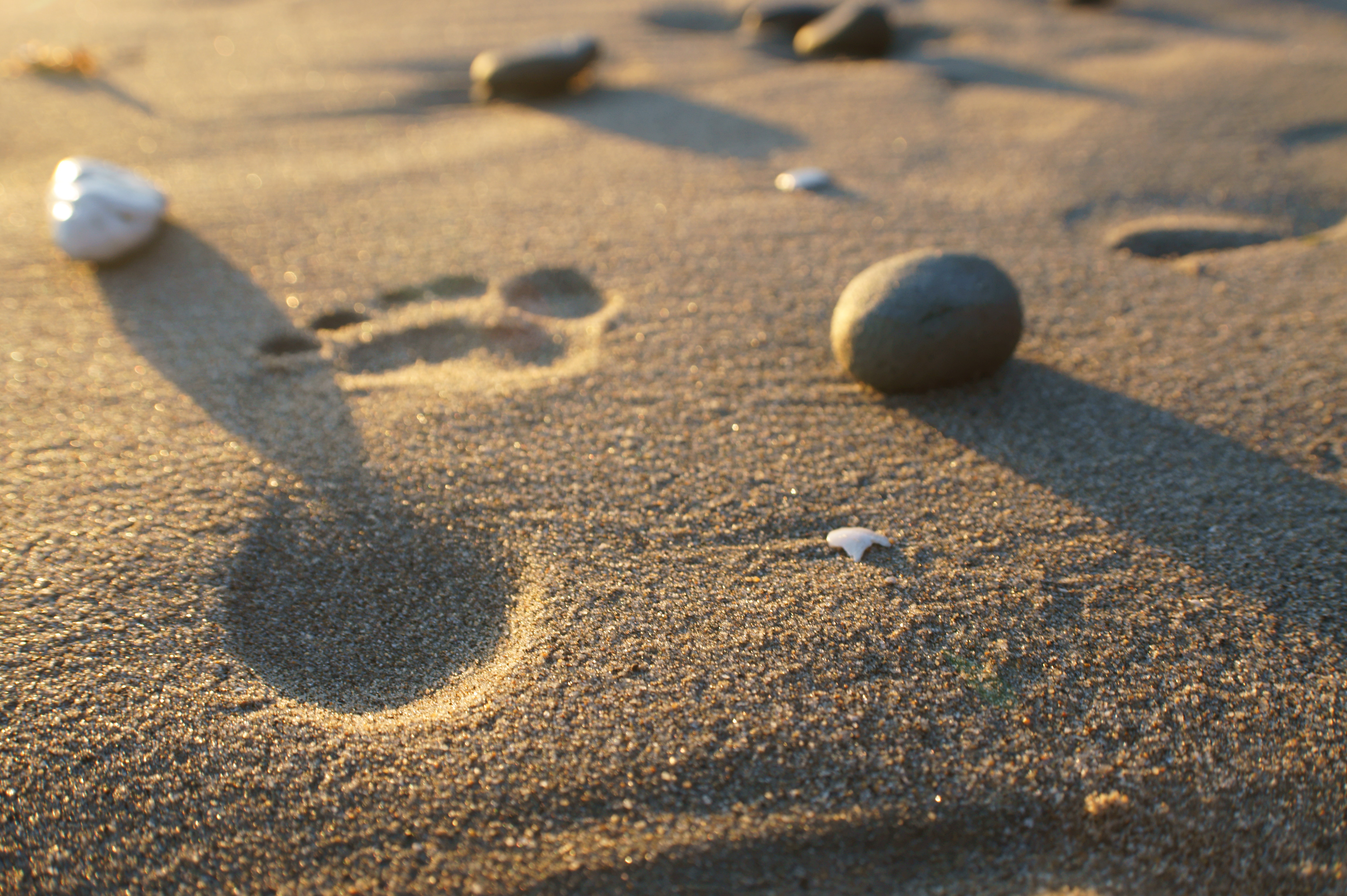На песке остается след. Следы на песке. Шаги на песке. Следы на песке у моря. Следы человека на песке.