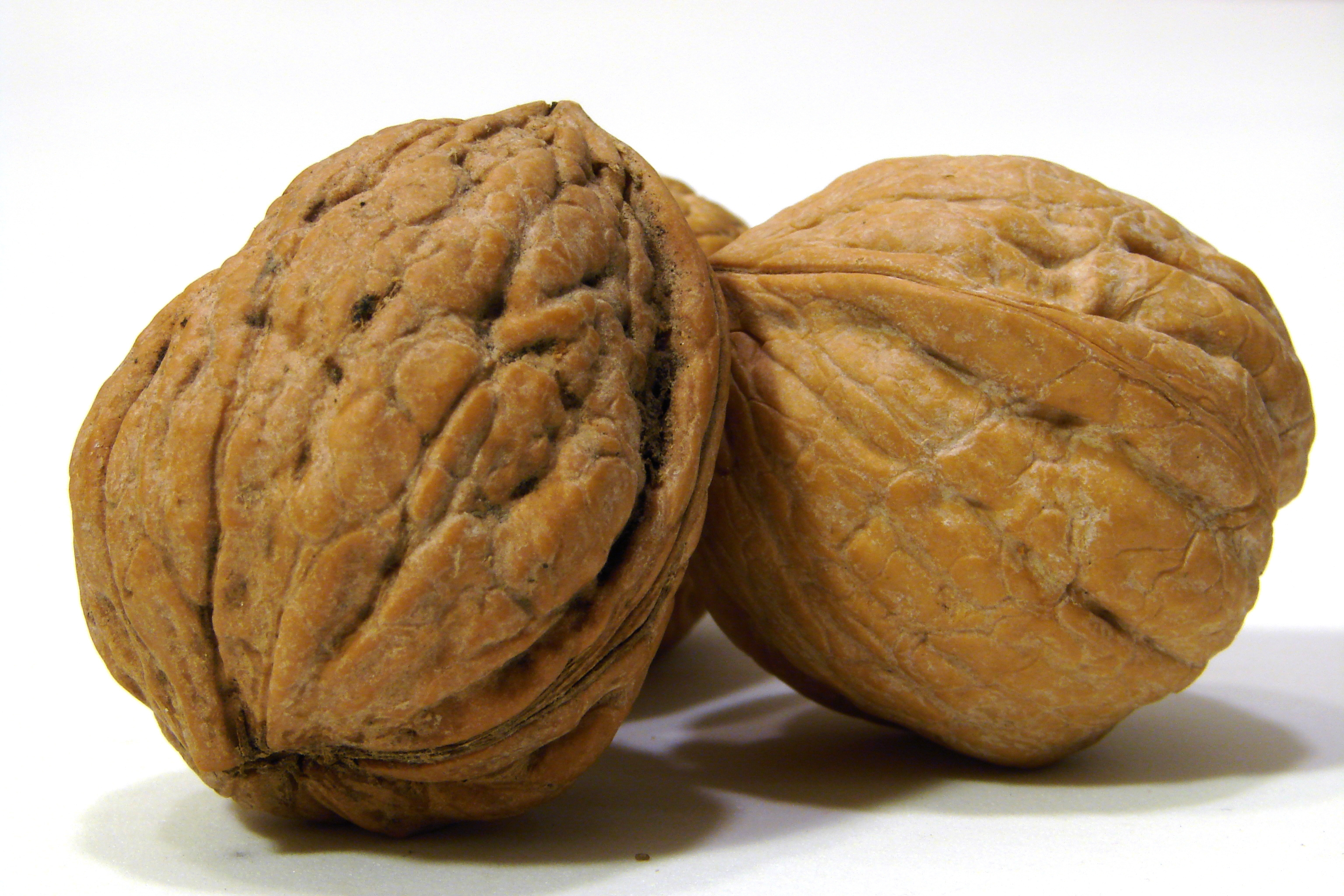 Walnuts Wallpapers High Quality | Download Free
