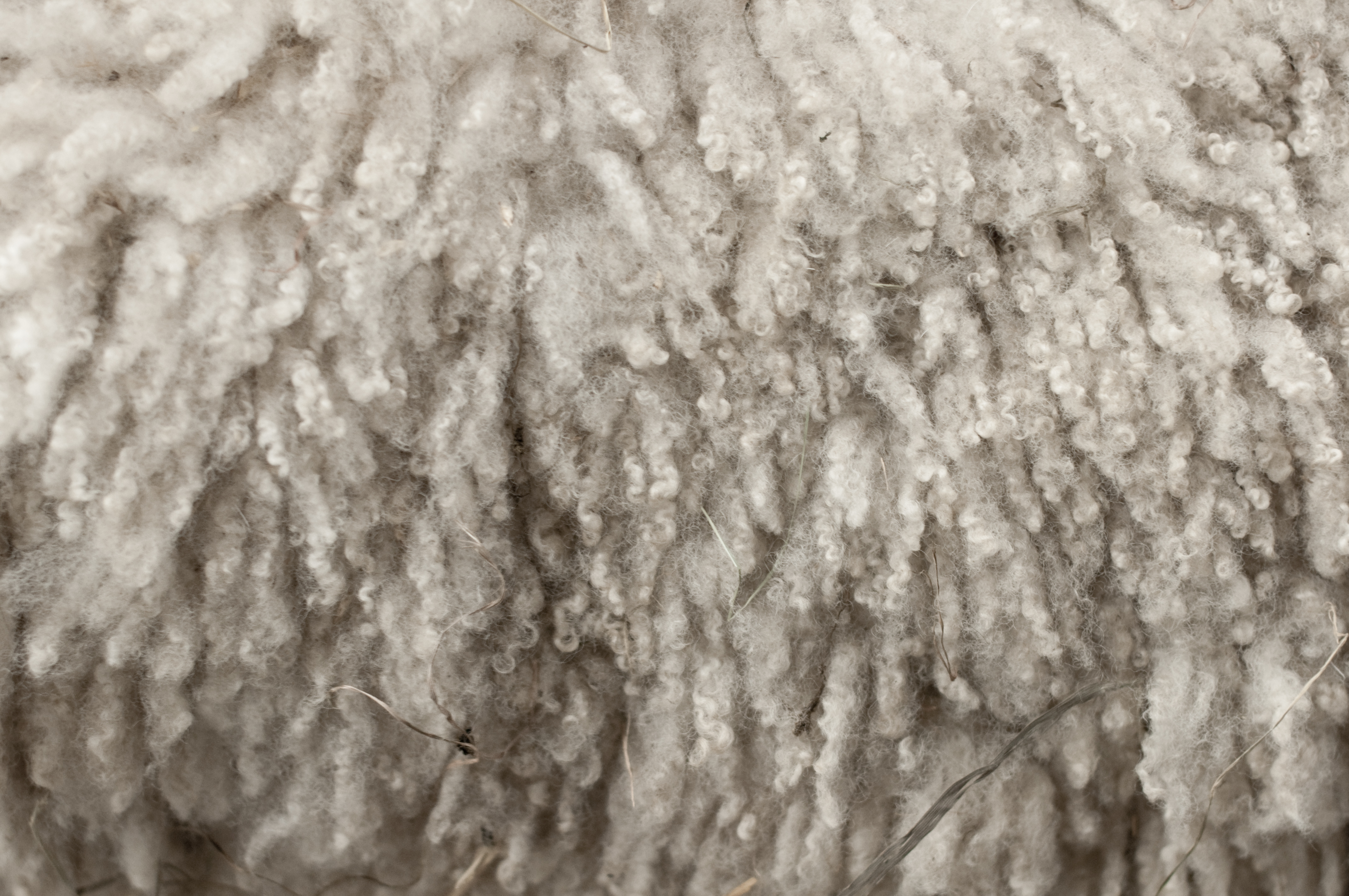 Фотошоп шерсть. Волокна овечьей шерсти. Шерстяное волокно. Натуральная шерсть. Ткань из волокон шерсти.