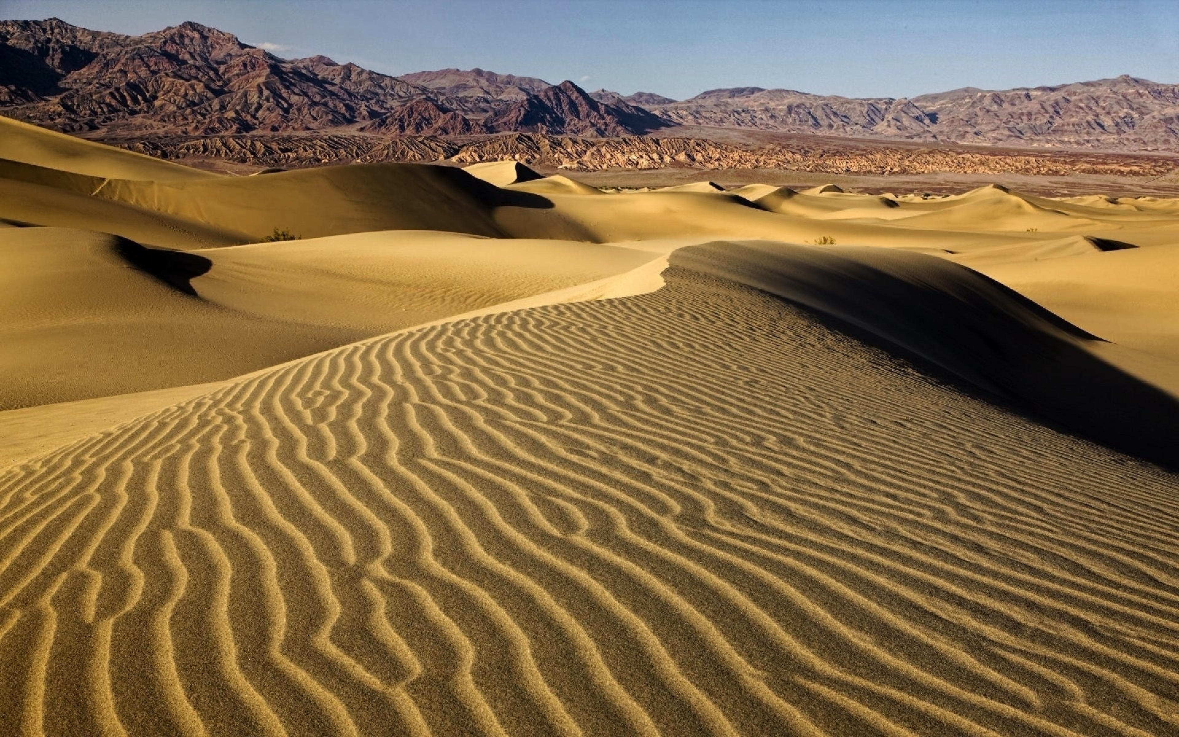 Внутренние воды полупустынь и пустынь