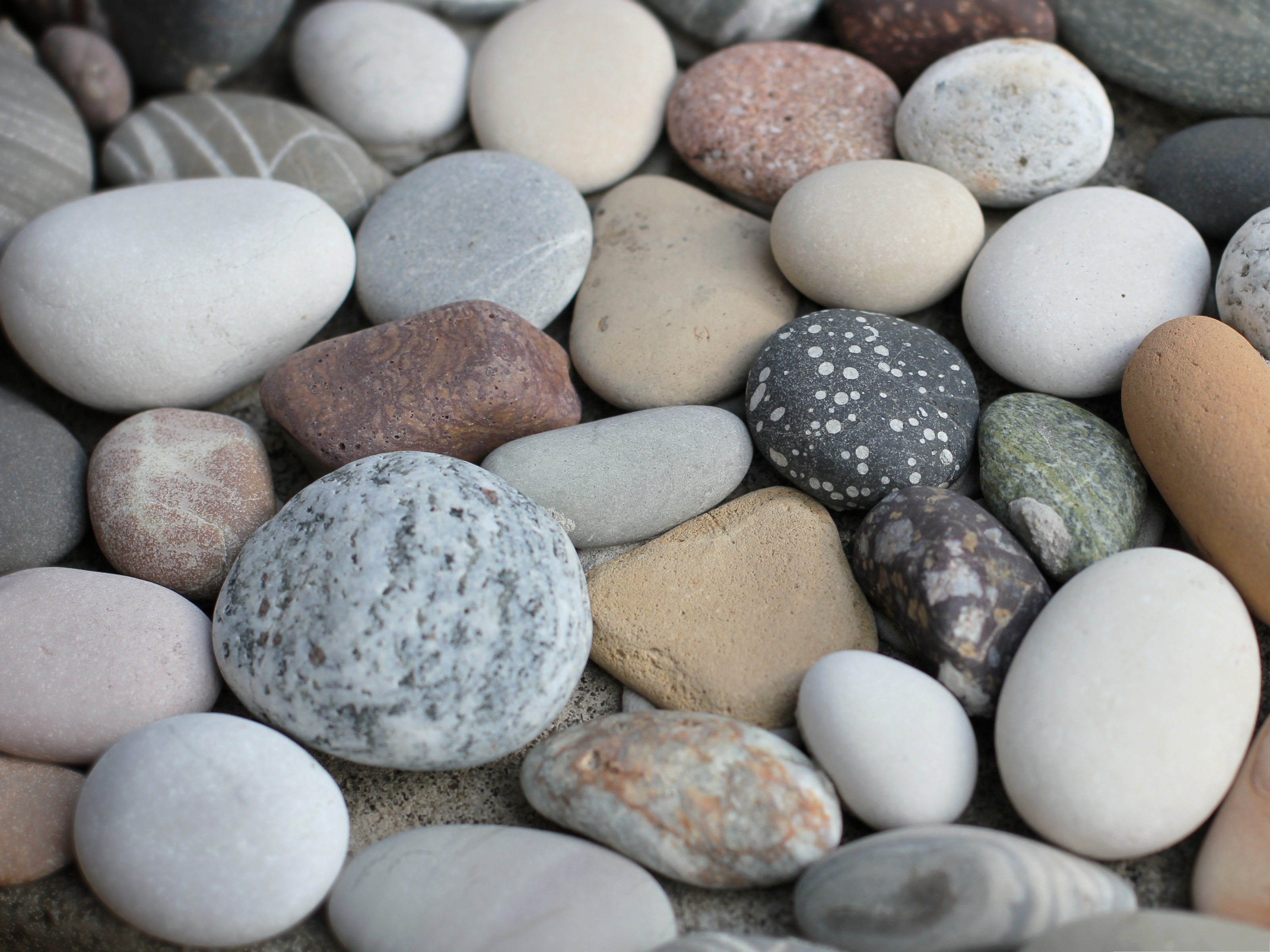 Галька виды. Морские гальки. Камень галька. Красивые камушки. Красивые морские камушки.