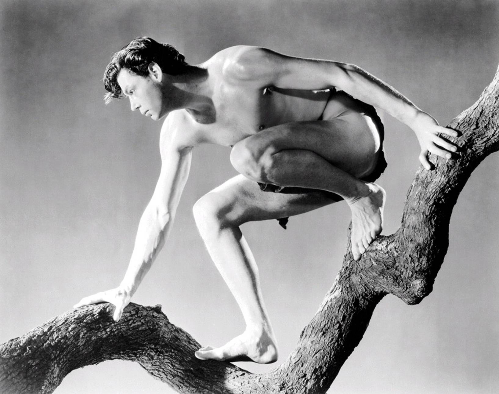Johnny Weissmuller wallpapers.