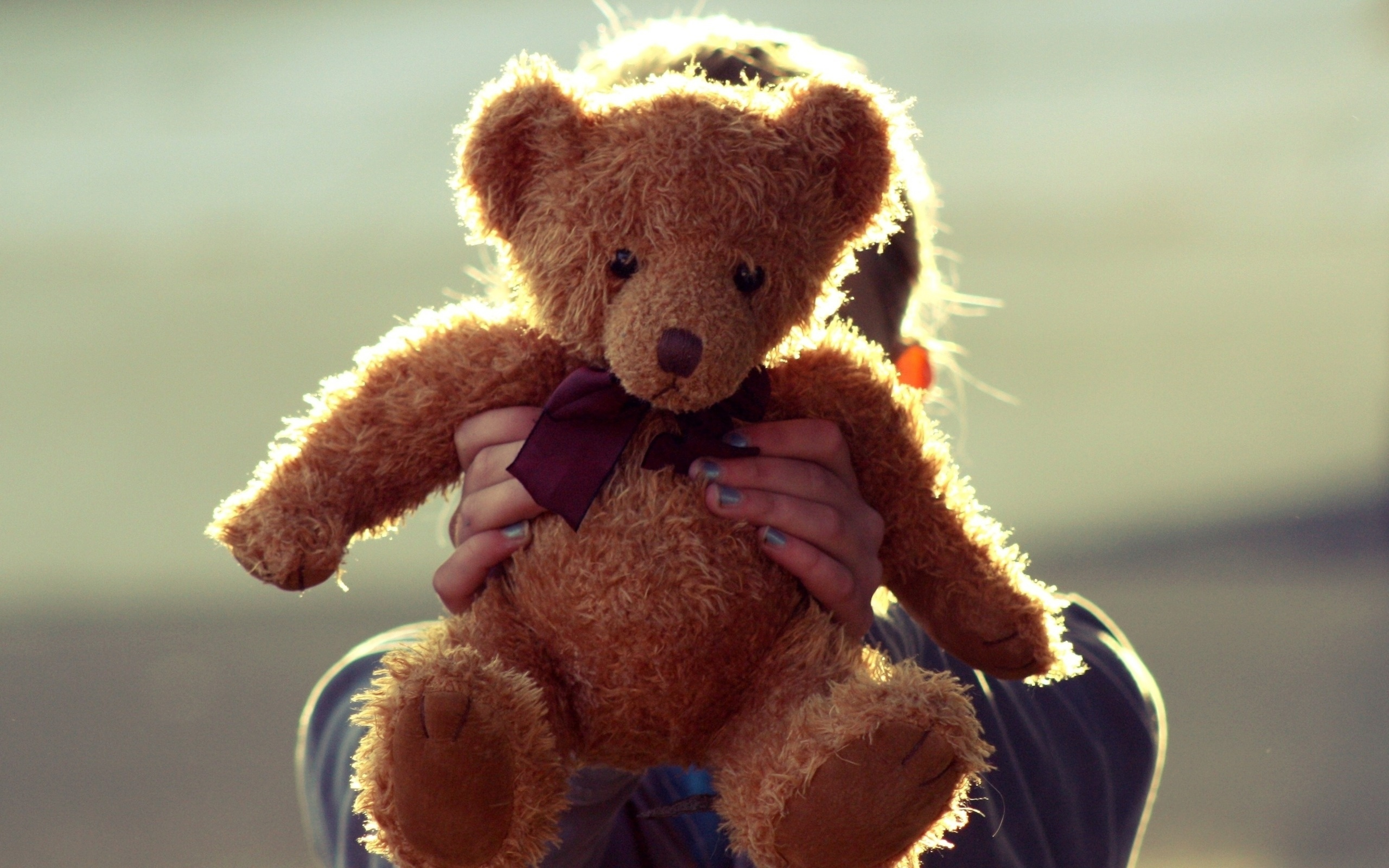 Teddy bear teddy bear turn around. Плюшевый мишка. Красивые игрушки. Плюшевые игрушки. Плюшевая игрушка медведь.